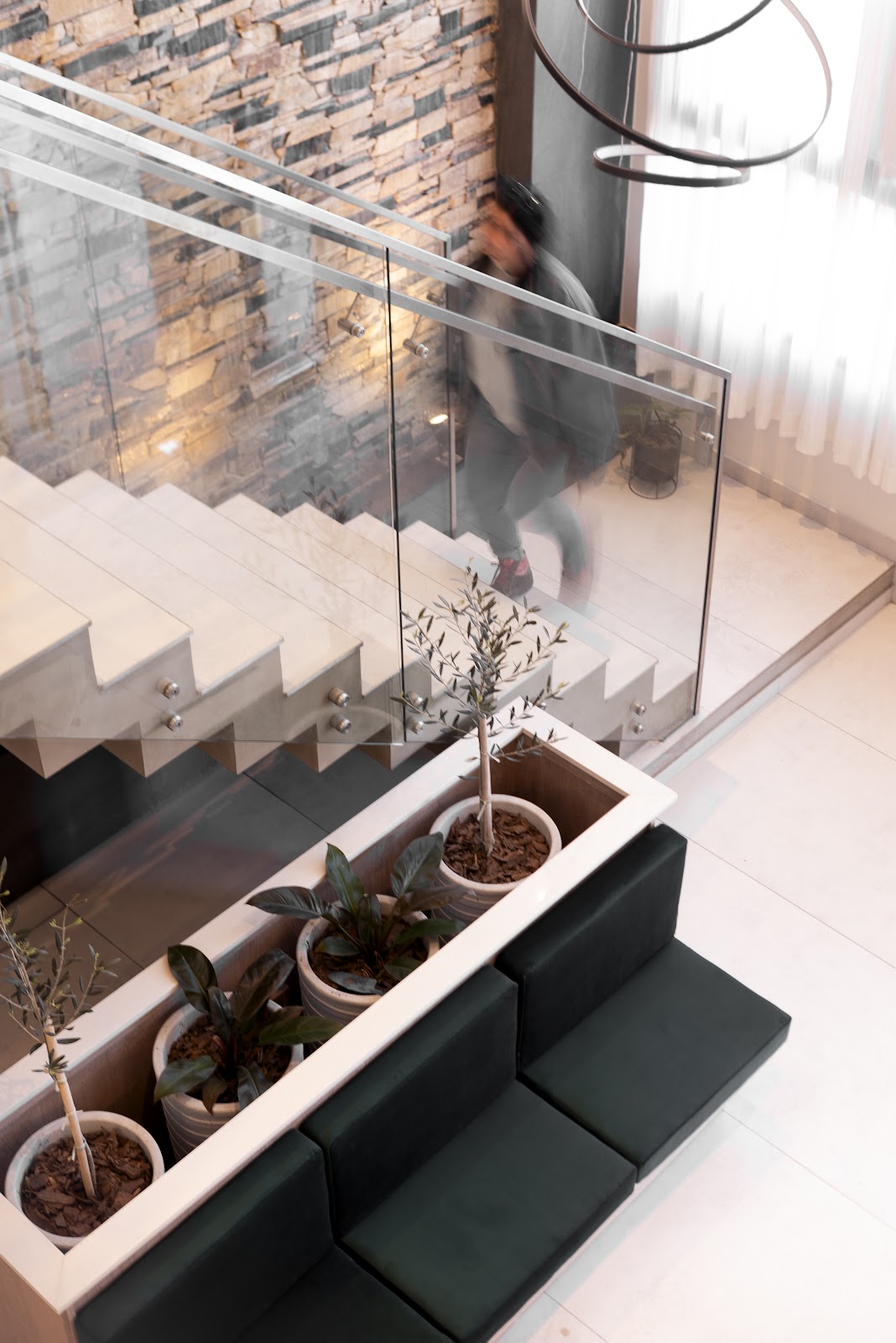 Escalera con baranda de vidrio, pared de piedra y cantero con olivos